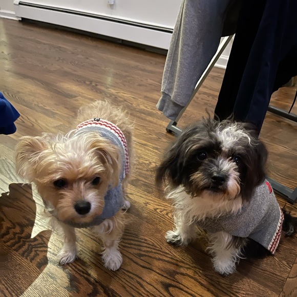 Meet your Posher, Sandra - Picture 1 of 1